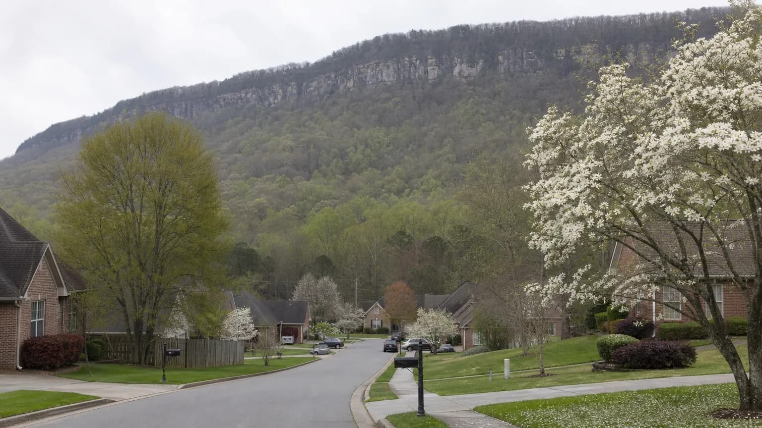 Suburban street at the foot of a wooded mountain ridge with brick homes and backyard fences, dogwoods in bloom