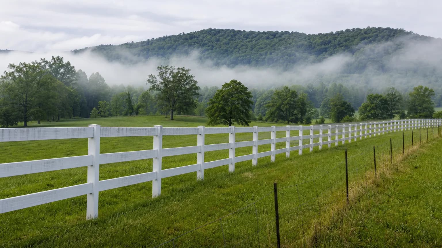 White four-board horse fence and woven wire field fence on rolling green pasture with a wooded ridge behind in early morning mist